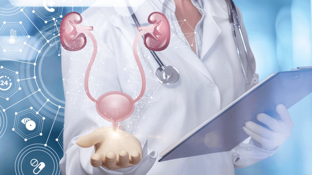 گردے اور مثانے کے مسائل-شفانیوز