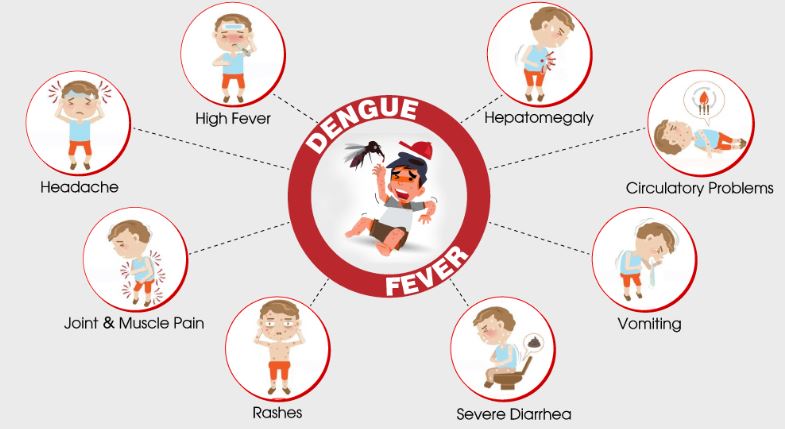 ڈینگی کی علامات-شفانیوز