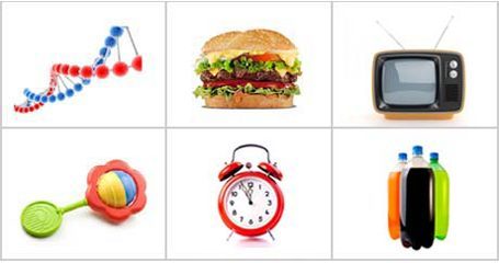 صحت موٹے موٹاپے وجوہات