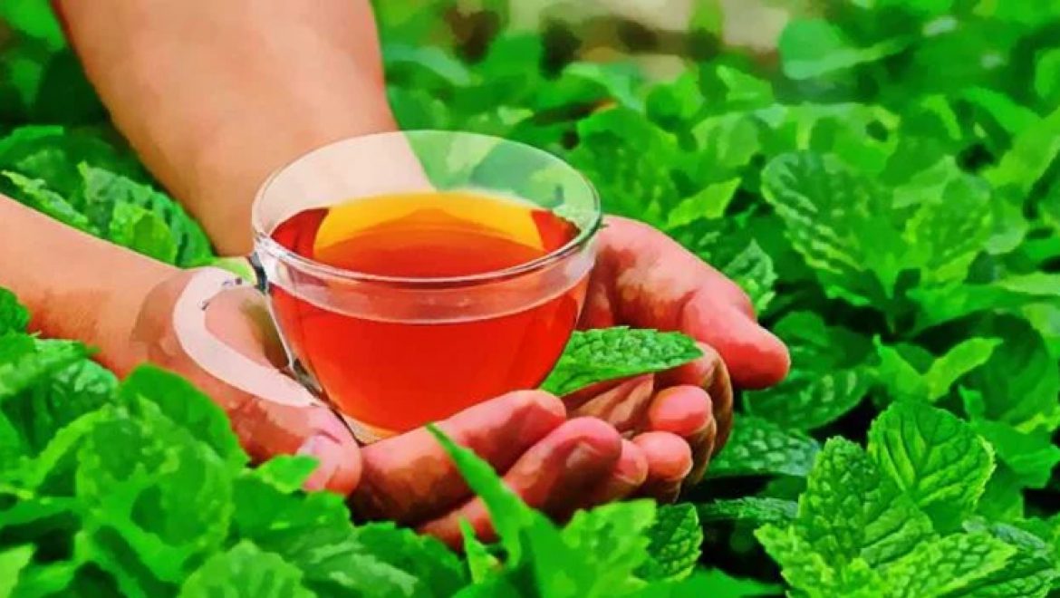 دارومدار اجزاء تیاری استعمال