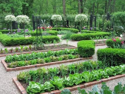 جگہ زمین بیج پانی