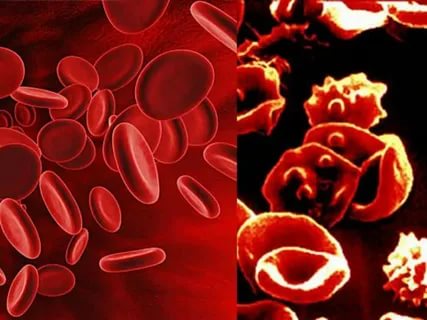 دو اقسام مائنر میجر