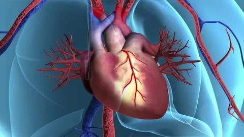 بائی پاس سرجری کے بعد ہدایات جلد بحالی