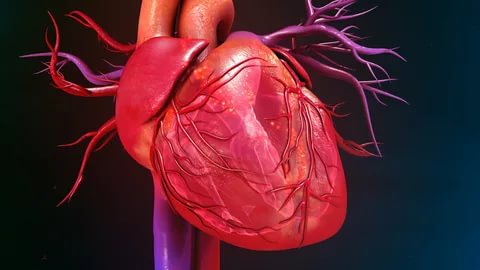دل کی شریانوں کا ٹیسٹ