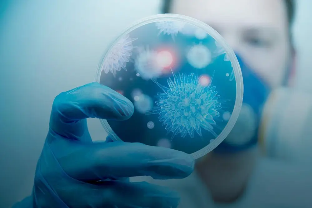 انفیکشن کیا ہے اور اس سے کیسے بچیں