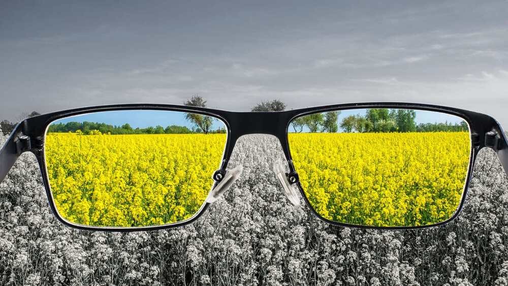 کلر بلائنڈنیس-شفانیوز