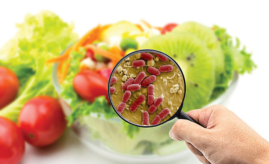 فوڈ پوائزننگ-شفانیوز