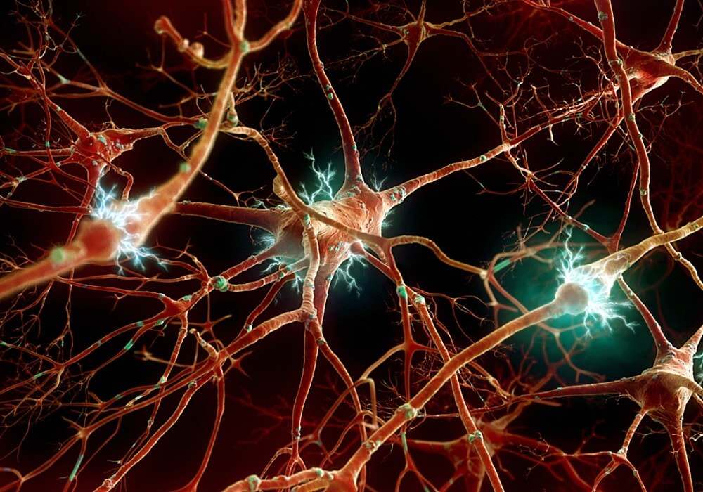 اعصابی نظام کی عام بیماریاں-شفانیوز