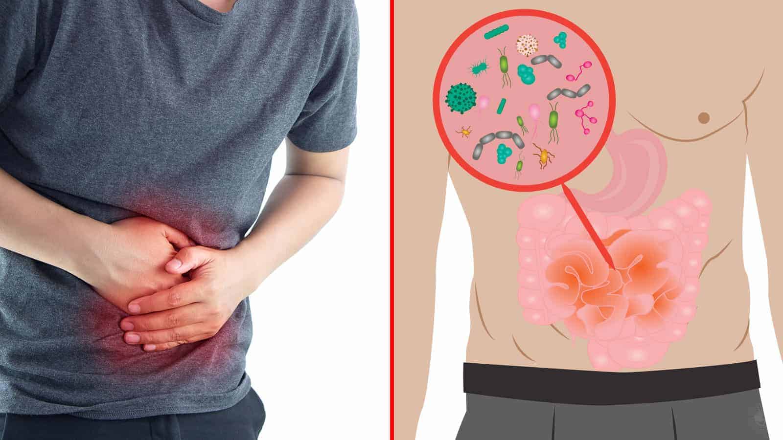 گرمیوں میں معدے کے مسائل-شفانیوز