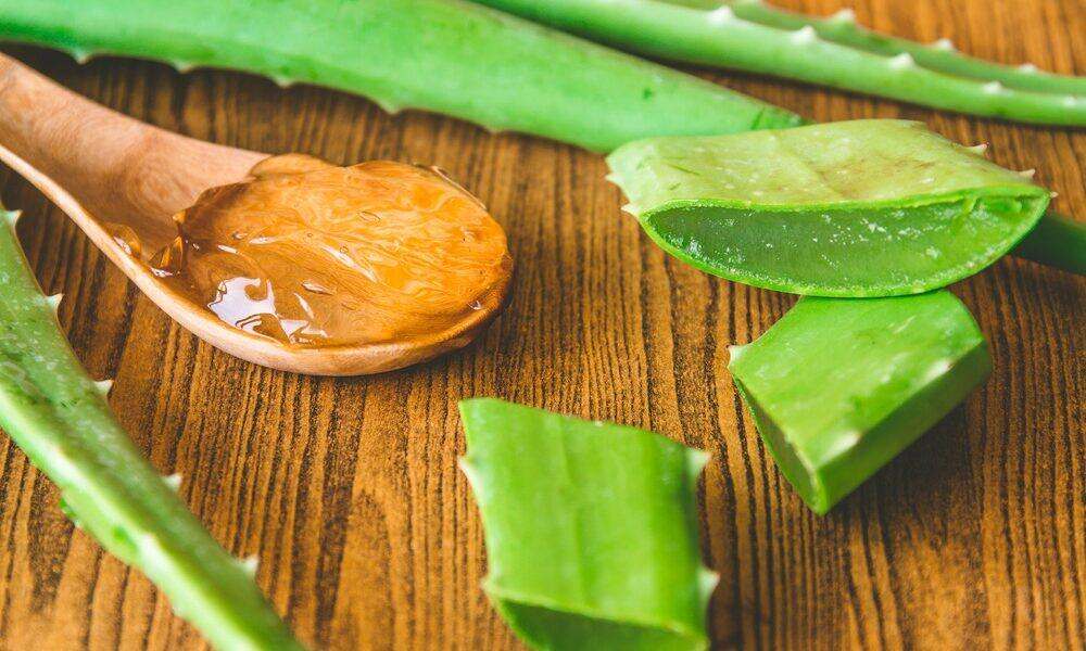 جلی ہوئی جلد کے لئے ایلوویرا جیل،ابلتے ہوئے یا گرم پانی سے جلنا-فرسٹ ایڈ-شفانیوز