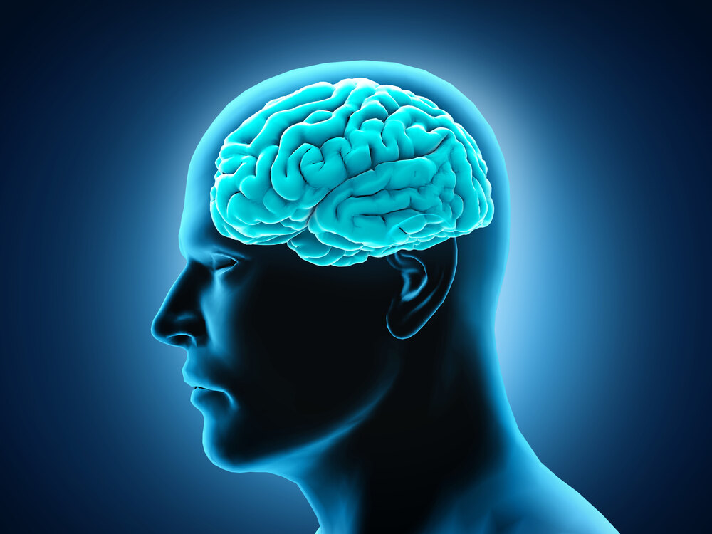 Sixth sense of humans-shifanews