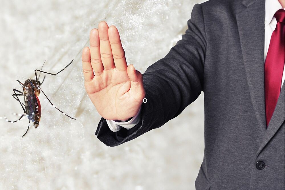 مچھروں سے نجات کے آسان طریقے-شفانیوز