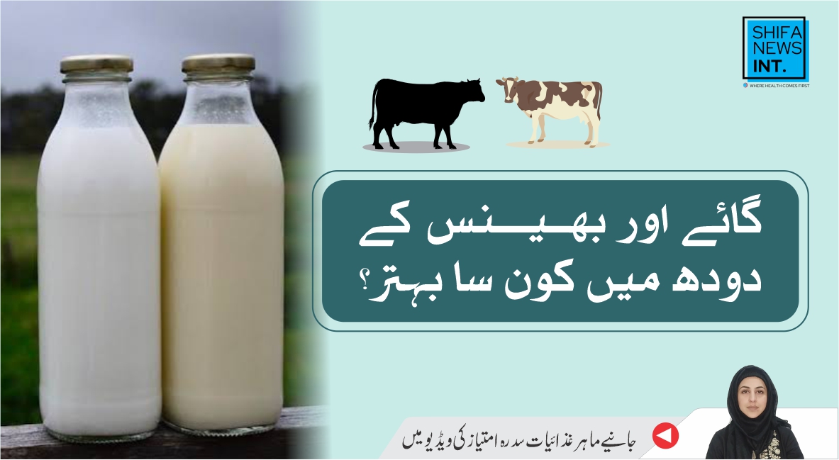 Why is milk important for us? | Cow or buffalo milk | Shifa News