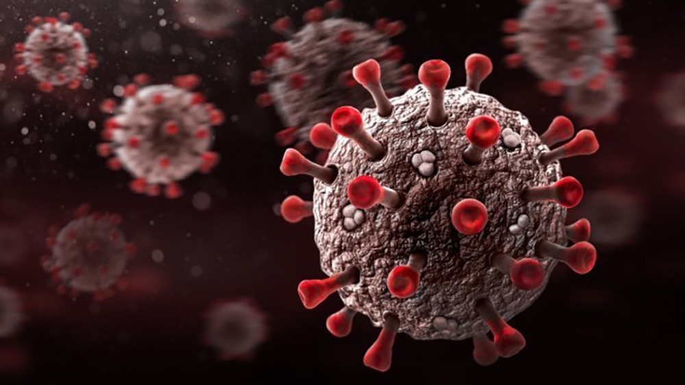 کورونا سے زیادہ تباہ کن وبا کا خطرہ- شفا نیوز