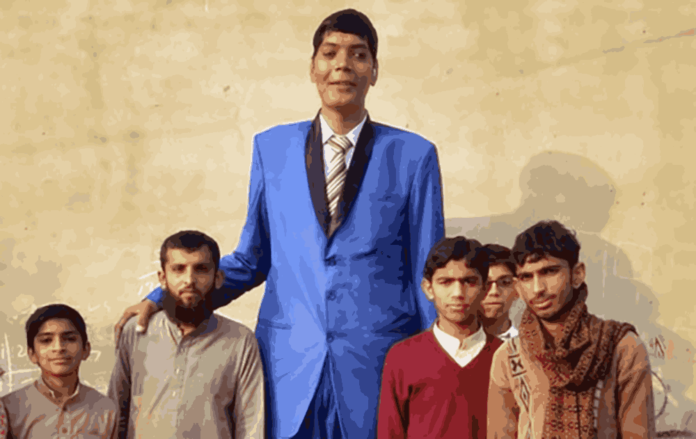 پاکستان کے طویل القامت - شفا نیوز