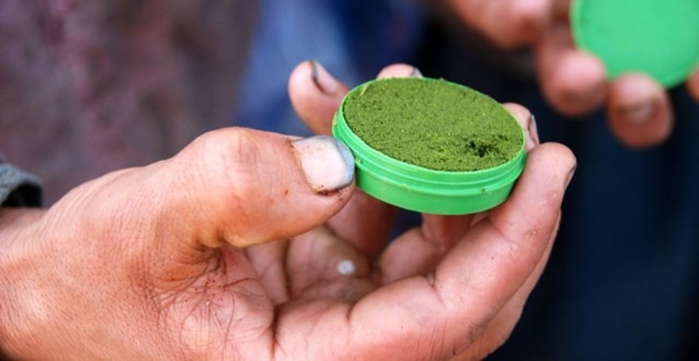 نسوار میں شدید نقصان دہ مادوں کا انکشاف- شفانیوز