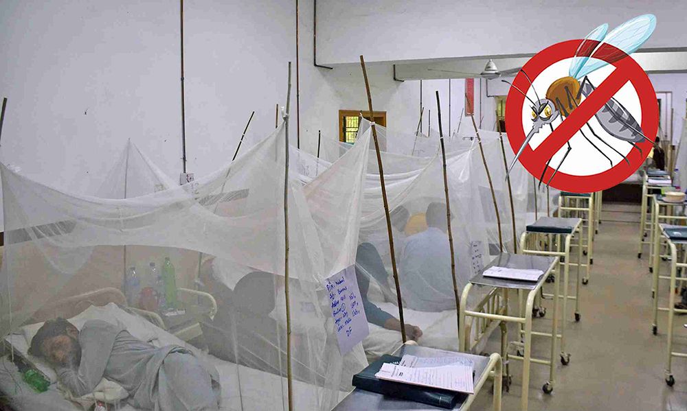 103 new cases of Dengue- Shifa News