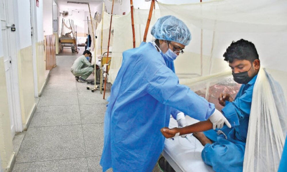 راولپنڈی میں ڈینگی ایمرجنسی، 4 ہزارمقدمات درج- شفا نیوز