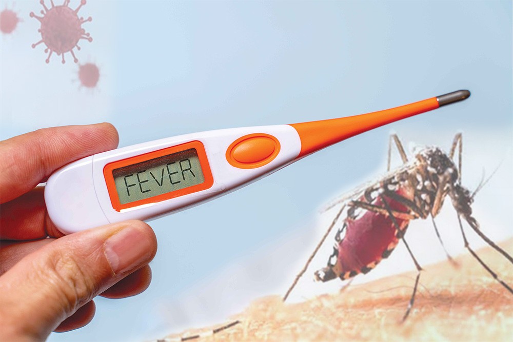 ڈینگی بخار، اگلے دو ہفتے اہم