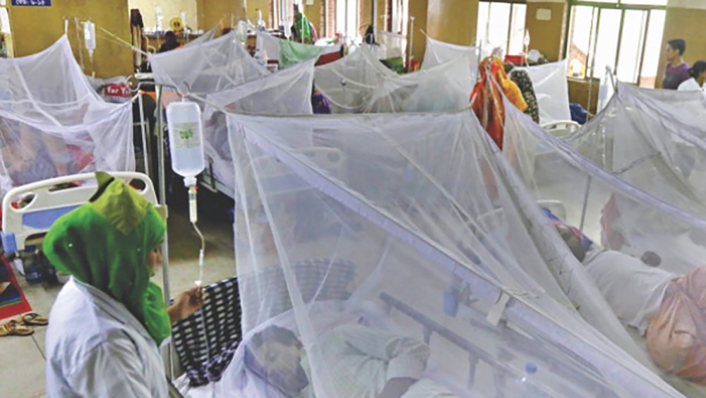 پنجاب میں ڈینگی کے 143 نئے کیسز- شفا نیوز