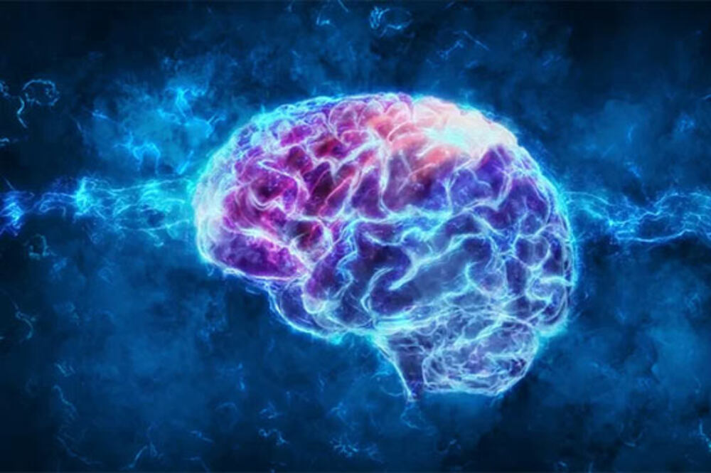 دماغ کا پہلا انتہائی مفصل نقشہ تیار- شفا نیوز