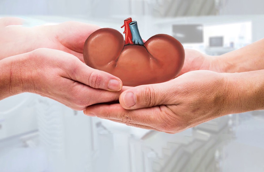 ٹرانسپلانٹ کے لیے غیر رشتہ داروں سے اعضاء لینے کی اجازت- شفا نیوز