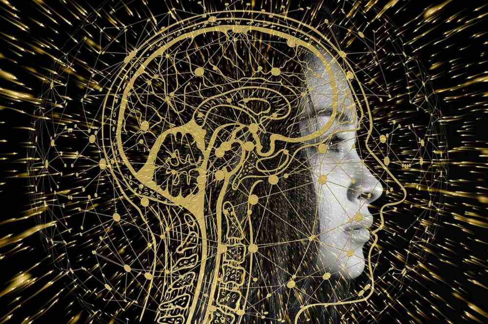 دیہی نگہداشت صحت: پاکستان میں اے آئی پر مبنی منصوبہ پیش- شفا نیوز