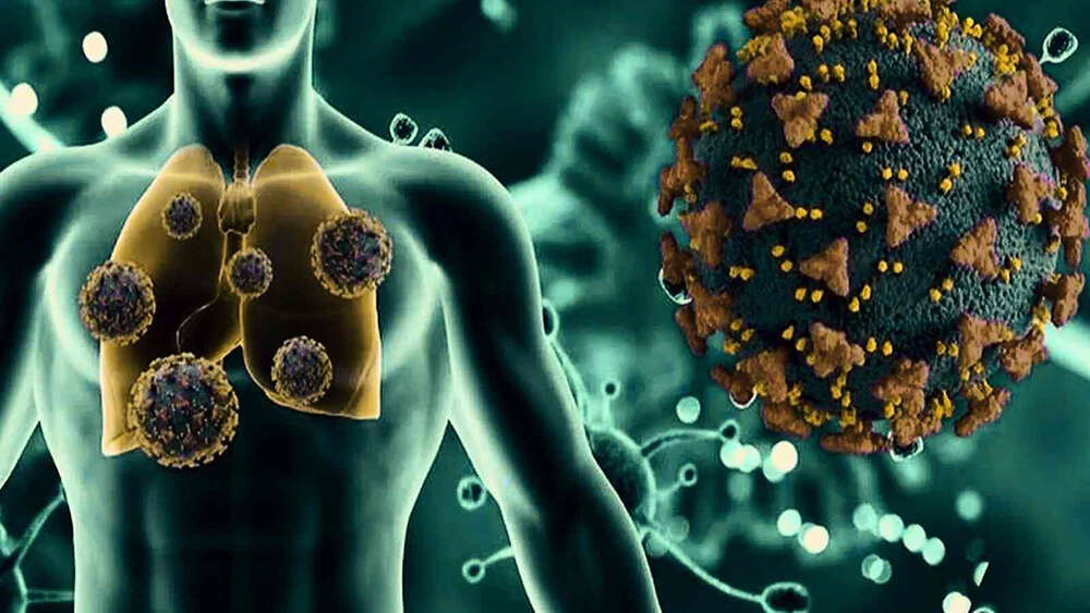 چین میں کورونا جیسا نیا وائرس پاکستان میں پہلے سے موجود- شفا نیوز