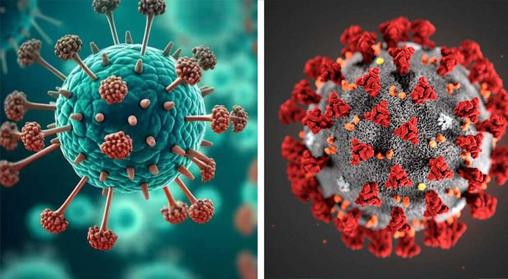 کورونا اور نئے وائرس ایچ ایم پی وی میں فرق کیا ہے- شفا نیوز