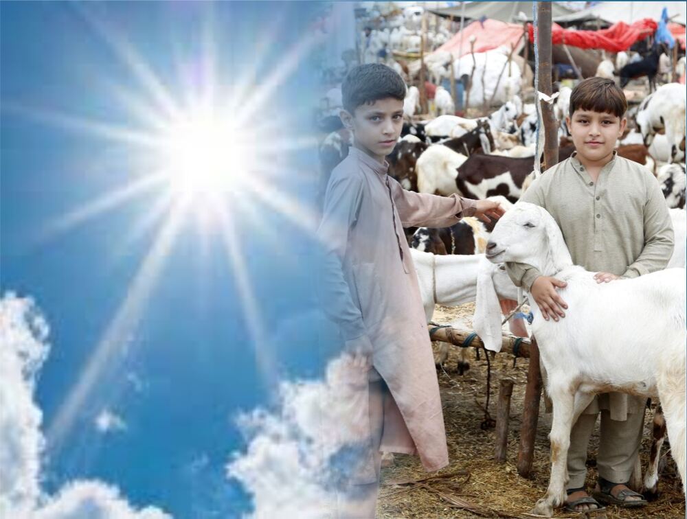 عید کی چھٹیوں میں موسم کیسا رہے گا؟- شفا نیوز