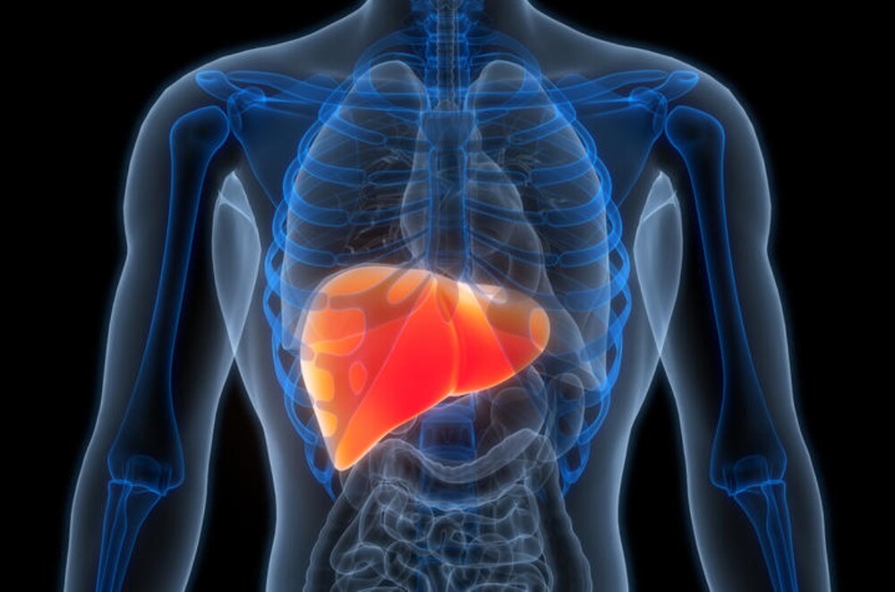 جگر کا کینسر: ہر 5 میں سے 3 کیس قابلِ پرہیز، تحقیق- شفا نیوز