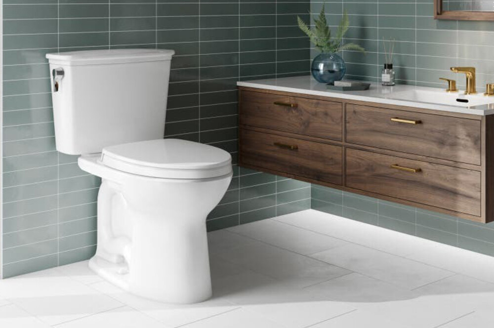 کیا ٹوائلٹ سیٹ سے بیماریاں لگ سکتی ہیں؟- شفا نیوز