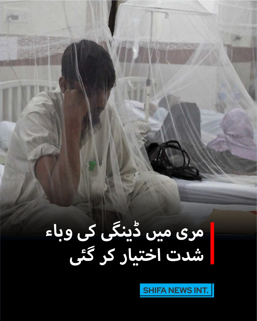 مری میں ڈینگی کی وباء شدت اختیار کر گئی