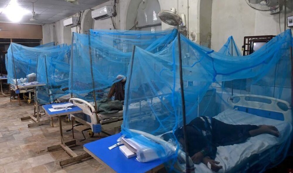 راولپنڈی میں ڈینگی کے مریضوں کی تعداد 46 ہو گئی- شفا نیوز