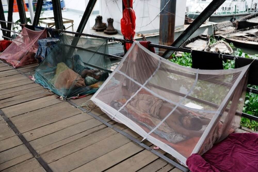 بنگلہ دیش میں ڈینگی: ایک دن میں 12 اموات، 740 نئے کیسز