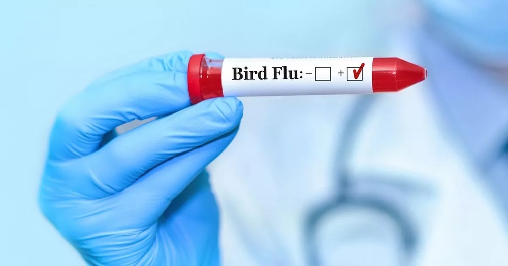 برڈ فلو کووڈ سے زیادہ خطرناک وبا بن سکتا ہے، ماہرین کی وارننگ