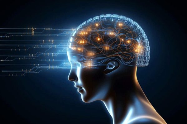 دماغی نشوونما کے پانچ ادوار، 32 سال کی عمر اہم موڑ