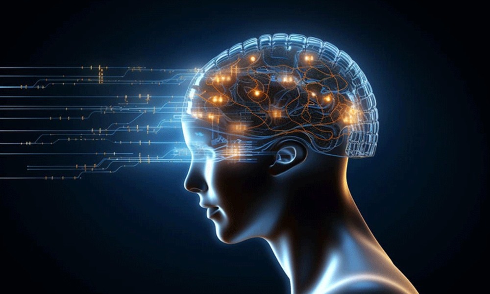 دماغی نشوونما کے پانچ ادوار، 32 سال کی عمر اہم موڑ