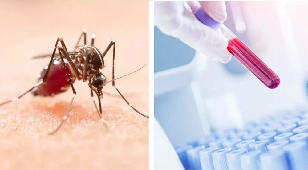 A symbolic image of mosquitoes borne diseases with medical test equipment, including test tubes
