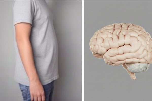 پیٹ کی چربی کم ہونے سے دماغ زیادہ جوان، تحقیق