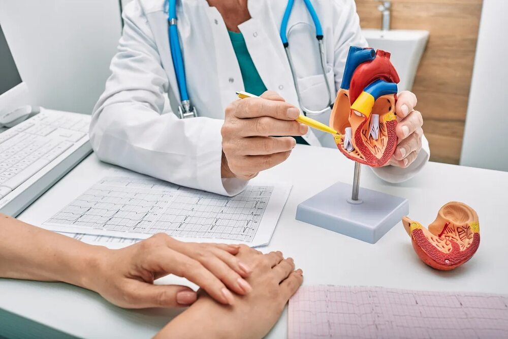 A doctor explaining heart diseases using a 3D heart model to educate patients about prevention and symptoms.