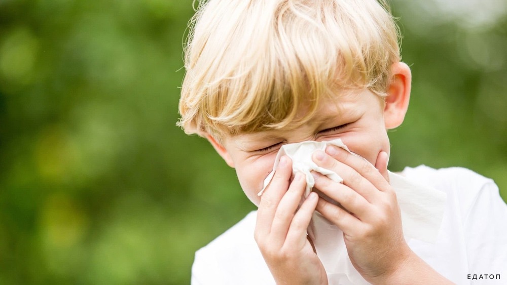 Allergies: When the Immune System Overreacts