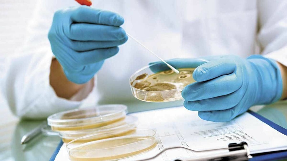 Bacterial Vaginosis: Vaginal Bacteria Out of Balance
