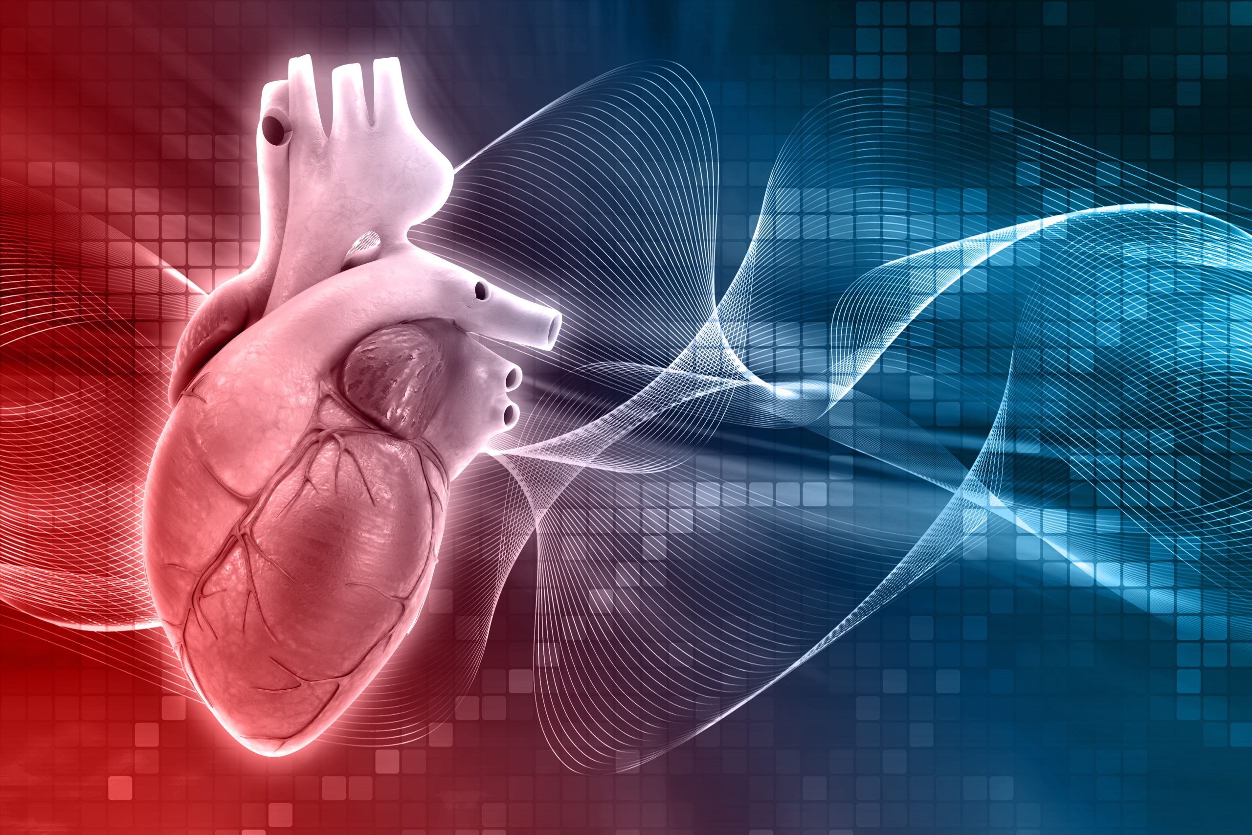 Heart Valve Disease