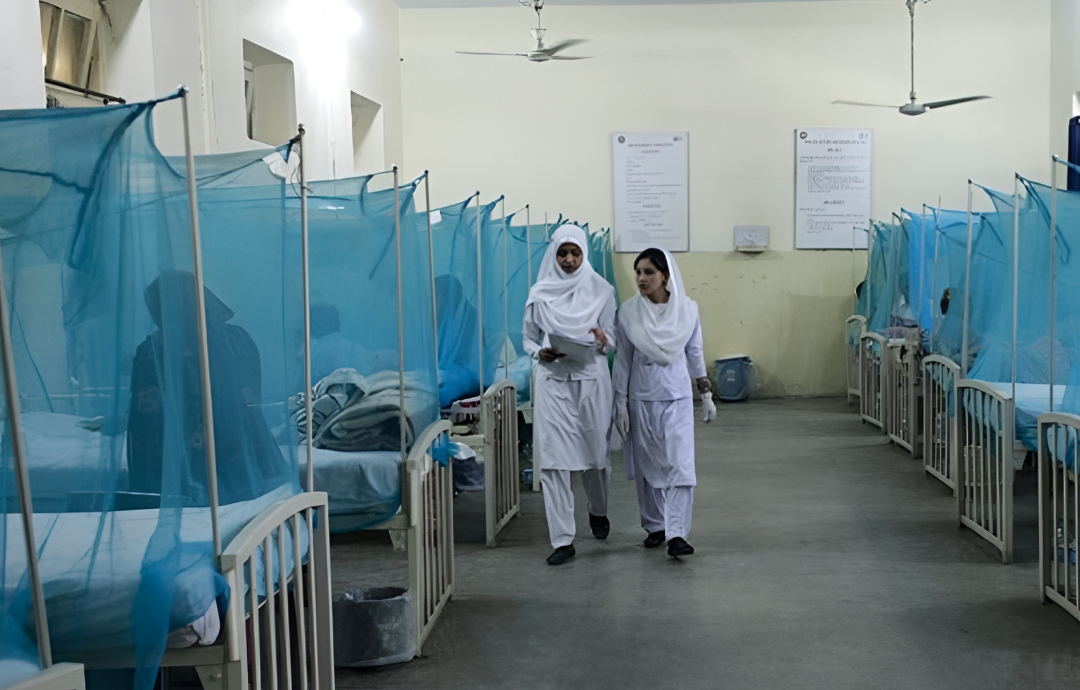 ڈینگی سیزن سے پہلے ہی راولپنڈی میں کیسز رپورٹ، محکمہ صحت الرٹ
